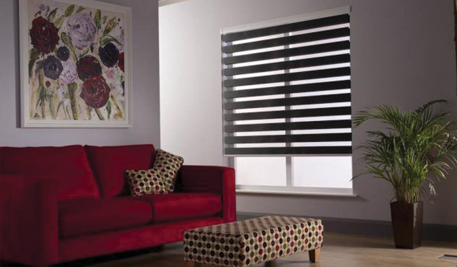 Dual Zebra Blinds