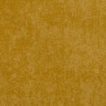 1165-17